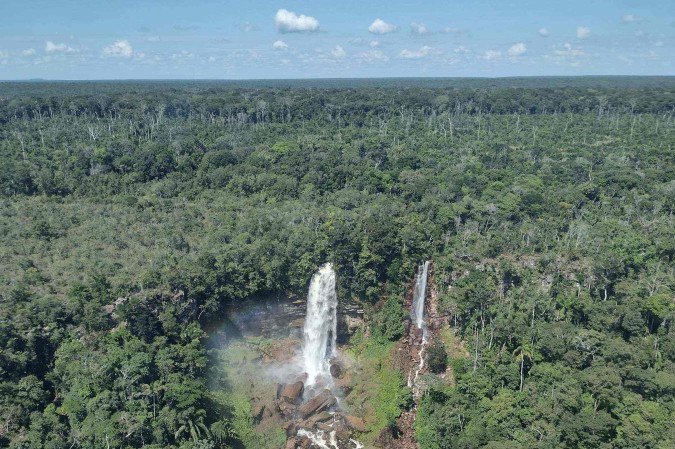 Rebio Nascentes da Serra do Cachimbo fica nas margens da BR-163 e é vizinha de terras indígenas -  (crédito: ICMBio/Divulgação)