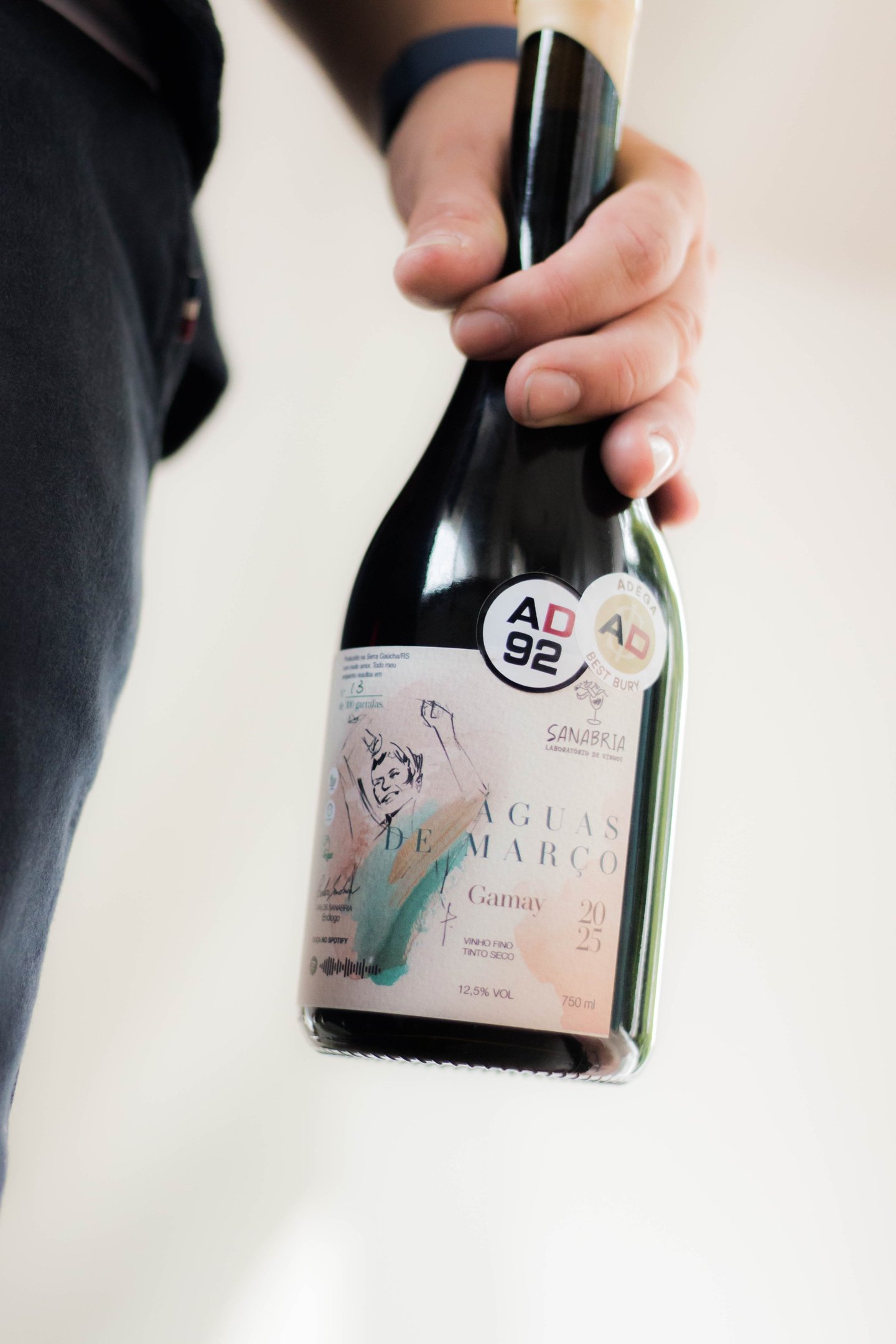 Com destaque no Guia do Adega, o rótulo Águas de Março conquistou reconhecimentos como Destaque Tinto, Melhor Monte Belo do Sul e Best Buy