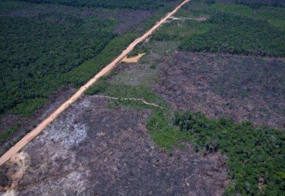 Ambientalistas acreditam que o novo licenciamento foi criado por manobra política, para favorecer obras como a BR 319 -  (crédito: Orlando K Junior/Divulgação) -Ambientalistas acreditam que o novo licenciamento foi criado por manobra política, para favorecer obras como a BR 319 -  (crédito: Orlando K Junior/Divulgação)