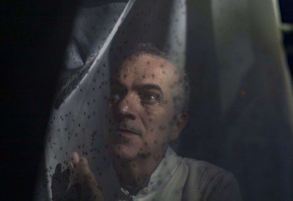 O brasileiro Luciano Moreira: controle da dengue a partir da infecção do Aedes aegypti pela bactéria Wolbachia -  (crédito:  Daniel Rolider ) -O brasileiro Luciano Moreira: controle da dengue a partir da infecção do Aedes aegypti pela bactéria Wolbachia -  (crédito:  Daniel Rolider )