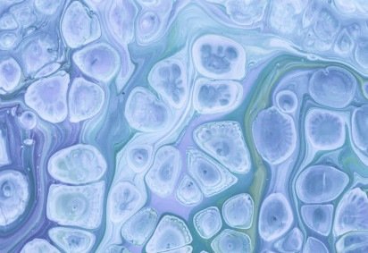 Dados podem mudar a tomada de decisão no transplante de células-tronco para leucemias agudas -  (crédito: Freepik) -Dados podem mudar a tomada de decisão no transplante de células-tronco para leucemias agudas -  (crédito: Freepik)