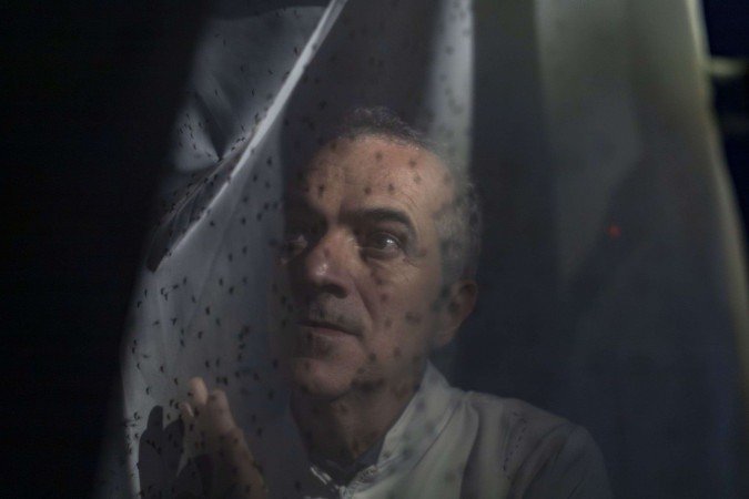 O brasileiro Luciano Moreira: controle da dengue a partir da infecção do Aedes aegypti pela bactéria Wolbachia -  (crédito:  Daniel Rolider )