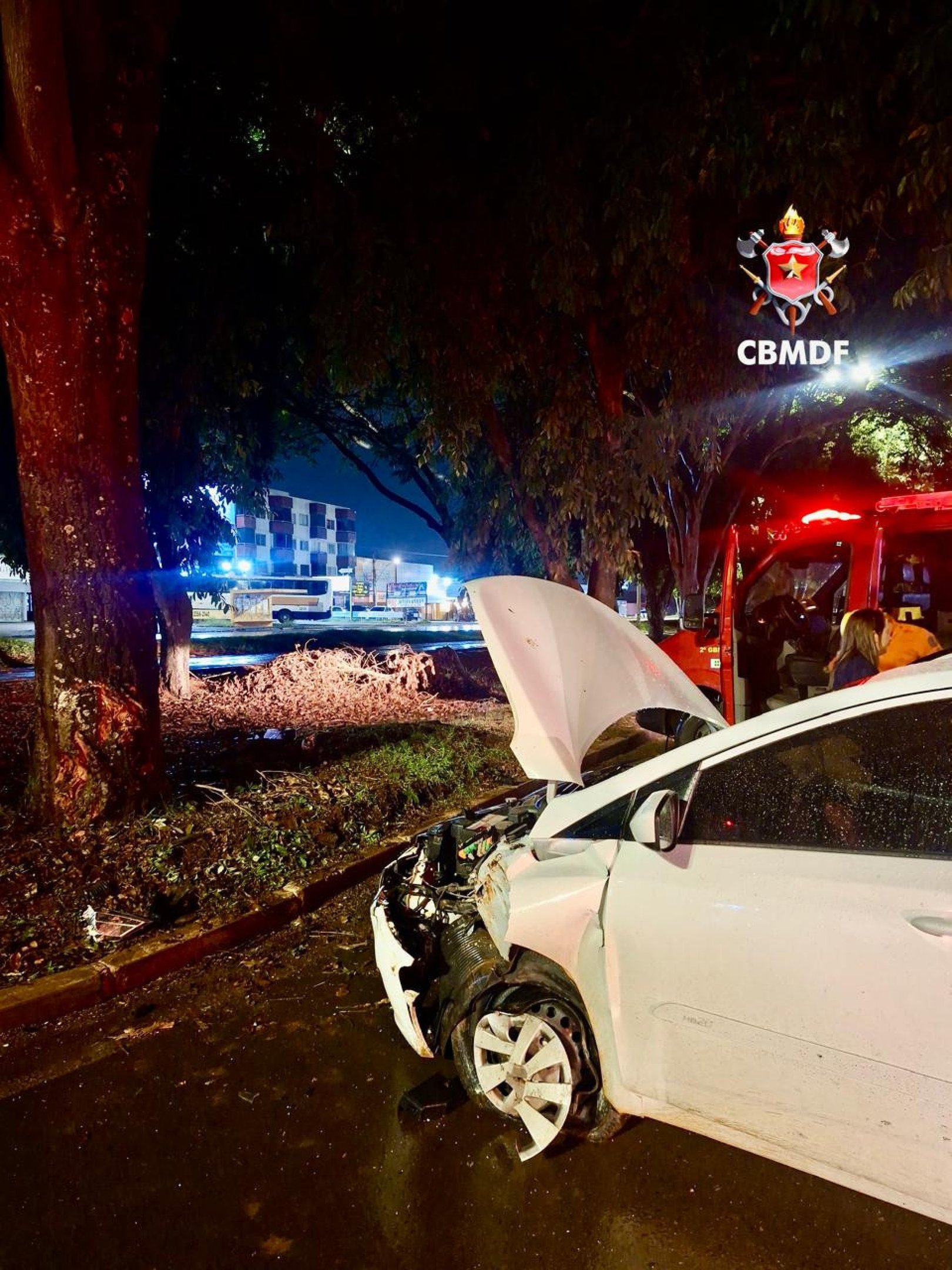 Bombeiros isolaram a área e prestaram os primeiros socorros à condutora