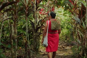 Documentário equatoriano, Pajuyuk, faz parte da Mostra Curtame Mucho - (crédito: Divulgação ) Documentário equatoriano, Pajuyuk, faz parte da Mostra Curtame Mucho - (crédito: Divulgação )