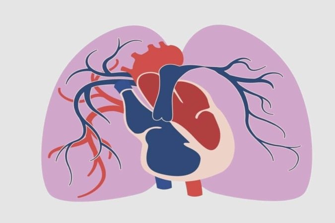 A hipertensão arterial pulmonar é uma doença rara e grave (Imagem: Vinichenko Ihor | Shutterstock) - (crédito: EdiCase) A hipertensão arterial pulmonar é uma doença rara e grave (Imagem: Vinichenko Ihor | Shutterstock) - (crédito: EdiCase)