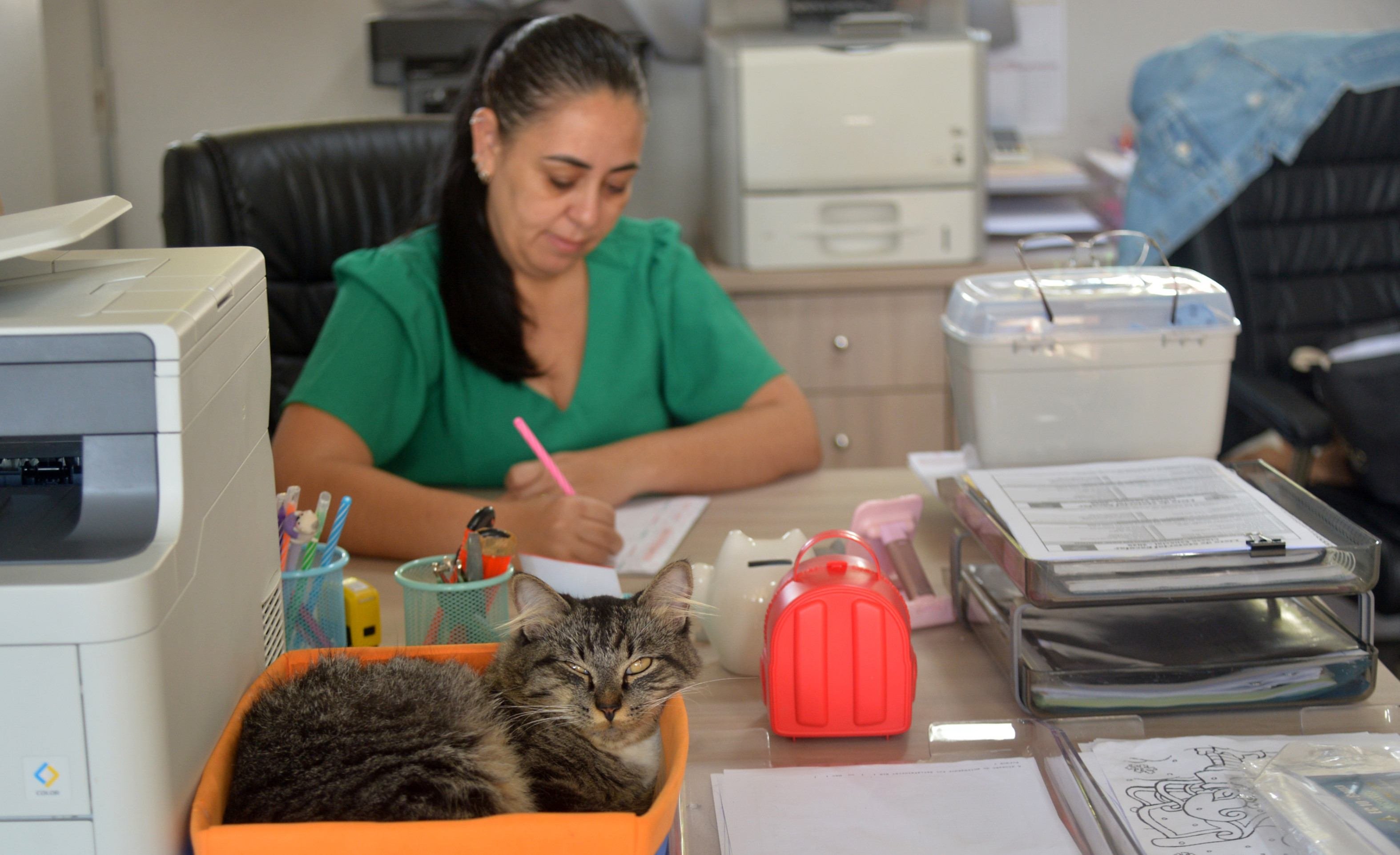  10/12/.2025 - Ed Alves CB/DA Press. Cidades. Animais - Caes e Gatos - ajudam professores na quest&atilde;o acolhimento na escola no Gama. Na foto, Edna Monteiro. 