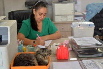 Raul acompanha a diretora Edna Monteiro nos trabalhos di&aacute;rios na escola -  (crédito:  Ed Alves CB/DA Press)
