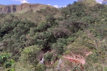 A Flona de Brazlândia é considerada fundamental para a segurança hídrica do Distrito Federal -  (crédito: Reprodução/Agência Brasília)