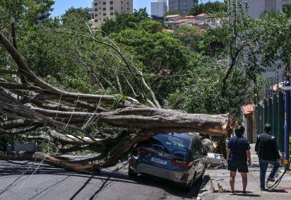 Ventos de 100 km/h deixaram um rastro de prejuízo em São Paulo -  (crédito:  AFP) -Ventos de 100 km/h deixaram um rastro de prejuízo em São Paulo -  (crédito:  AFP)