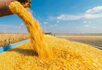 Produção nacional de grãos mais do que dobrou em 13 anos -  (crédito: Fotokostic/Gettingimages) -Produção nacional de grãos mais do que dobrou em 13 anos -  (crédito: Fotokostic/Gettingimages)