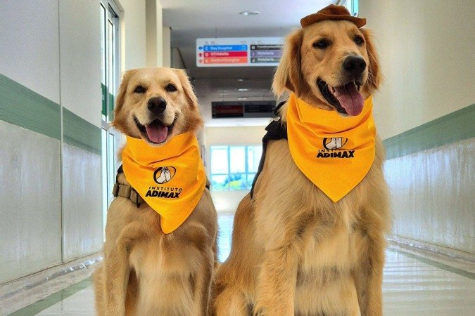 Lua e Shurastey -  (crédito: Divulga&ccedil;&atilde;o)