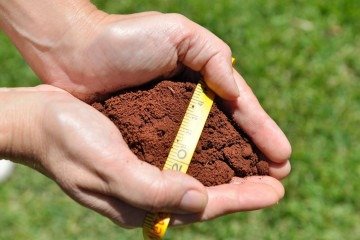 De acordo com a Plataforma Saúde do Solo BR, das amostras coletadas, 58% são saudáveis; 21% estão adoecendo e 4% doentes - (crédito: Fabiano bastos/Rmbrapa) De acordo com a Plataforma Saúde do Solo BR, das amostras coletadas, 58% são saudáveis; 21% estão adoecendo e 4% doentes - (crédito: Fabiano bastos/Rmbrapa)