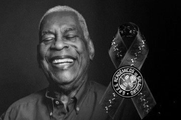 Reprodução do Instagram da escola de samba Salgueiro com a homenagem a Haroldo Costa - (crédito: Instagram do Salgueiro) Reprodução do Instagram da escola de samba Salgueiro com a homenagem a Haroldo Costa - (crédito: Instagram do Salgueiro)