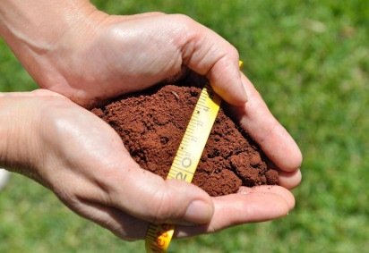 De acordo com a Plataforma Saúde do Solo BR, das amostras coletadas, 58% são saudáveis; 21% estão adoecendo e 4% doentes -  (crédito: Fabiano bastos/Rmbrapa) -De acordo com a Plataforma Saúde do Solo BR, das amostras coletadas, 58% são saudáveis; 21% estão adoecendo e 4% doentes -  (crédito: Fabiano bastos/Rmbrapa)