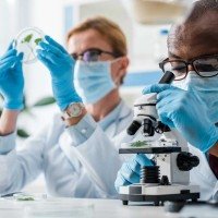                     -  (crédito:                  )