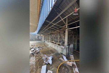 Incêndio em banca da Feira da Ceilândia mobiliza bombeiros - (crédito: CBMDF/Divulgação) Incêndio em banca da Feira da Ceilândia mobiliza bombeiros - (crédito: CBMDF/Divulgação)