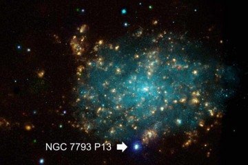 A imagem combina dados de observações em raios X, ópticas e da linha H?. NGC 7793 P13 está localizada longe do centro galáctico de NGC 7793 - (crédito: NASA/CXC/Univ of Strasbourg/M.Pakull et al; ESO/VLT/Univ of Strasbourg/M.Pakull et al; NOAO/AURA/NSF/CTIO 1.5m) A imagem combina dados de observações em raios X, ópticas e da linha H?. NGC 7793 P13 está localizada longe do centro galáctico de NGC 7793 - (crédito: NASA/CXC/Univ of Strasbourg/M.Pakull et al; ESO/VLT/Univ of Strasbourg/M.Pakull et al; NOAO/AURA/NSF/CTIO 1.5m)