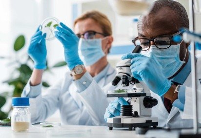                     -  (crédito:                  )