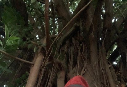 Sóter lança 'Quase em quase tudo' -  (crédito: Divulgação) -Sóter lança 'Quase em quase tudo' -  (crédito: Divulgação)