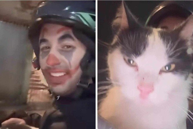 Motoboy fez negócio e levou gato como parte do pagamento - (crédito: Reprodução / Instagram) Motoboy fez negócio e levou gato como parte do pagamento - (crédito: Reprodução / Instagram)