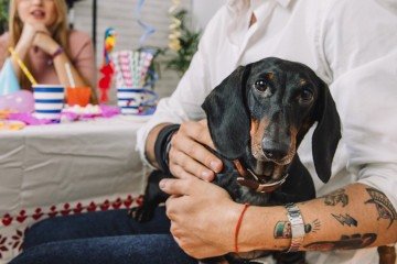 Tutores devem ficar atentos à presença de visitas, pessoas desconhecidas e à aglomeração excessiva durante as celebrações