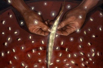 A luz é protagonista 
em algumas obras