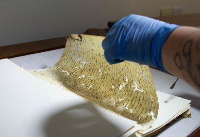 Um documentário do Tribunal de Justiça de Minas Gerais sobre Chica da Silva busca apresentar sua verdadeira história com base em documentos históricos. -  (crédito: Divulgação/TJMG) -Um documentário do Tribunal de Justiça de Minas Gerais sobre Chica da Silva busca apresentar sua verdadeira história com base em documentos históricos. -  (crédito: Divulgação/TJMG)