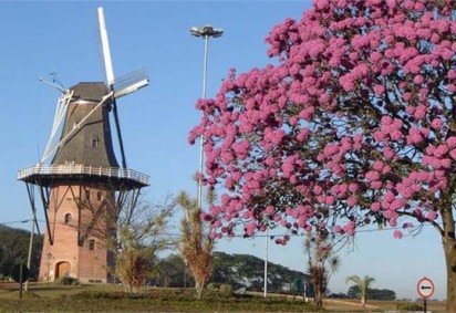 Os moinhos são uma das instalações mais representativas da Holanda. Tanto que há mais de 950 dessas estruturas no país. Inicialmente foram projetados para moer grãos, mas ganharam outras funcionalidades como bombear água para fora dos lagos. Veja os principais moinhos da Holanda.  -  (crédito: Moinhospovosunidos.com.br) -Os moinhos são uma das instalações mais representativas da Holanda. Tanto que há mais de 950 dessas estruturas no país. Inicialmente foram projetados para moer grãos, mas ganharam outras funcionalidades como bombear água para fora dos lagos. Veja os principais moinhos da Holanda.  -  (crédito: Moinhospovosunidos.com.br)