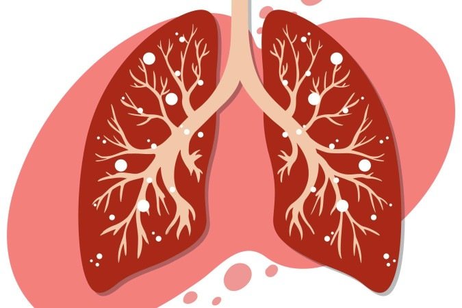 Pulmão
- (crédito: Freepik) Pulmão
- (crédito: Freepik)