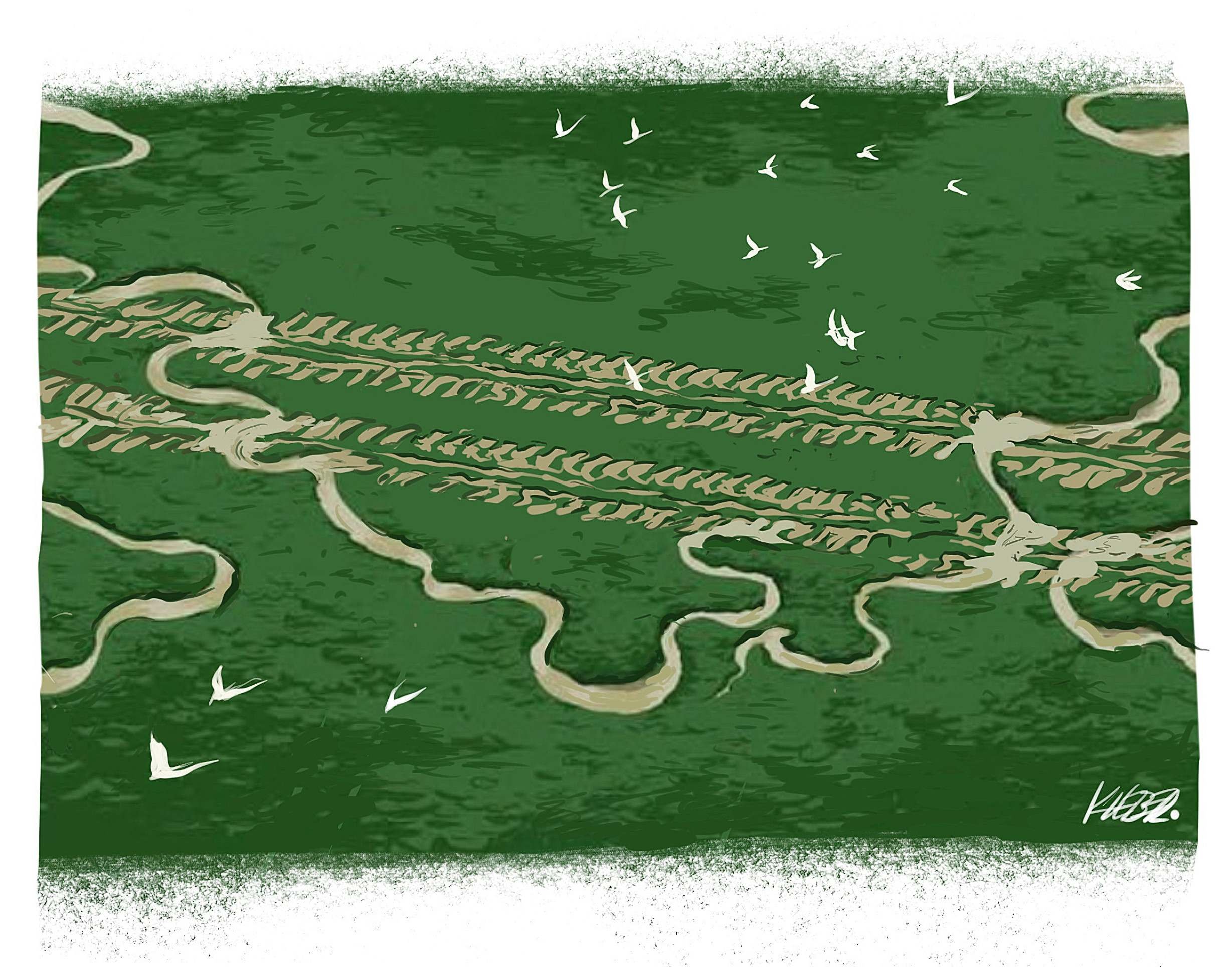 A BR-319 e a nova década da destruição da Amazônia