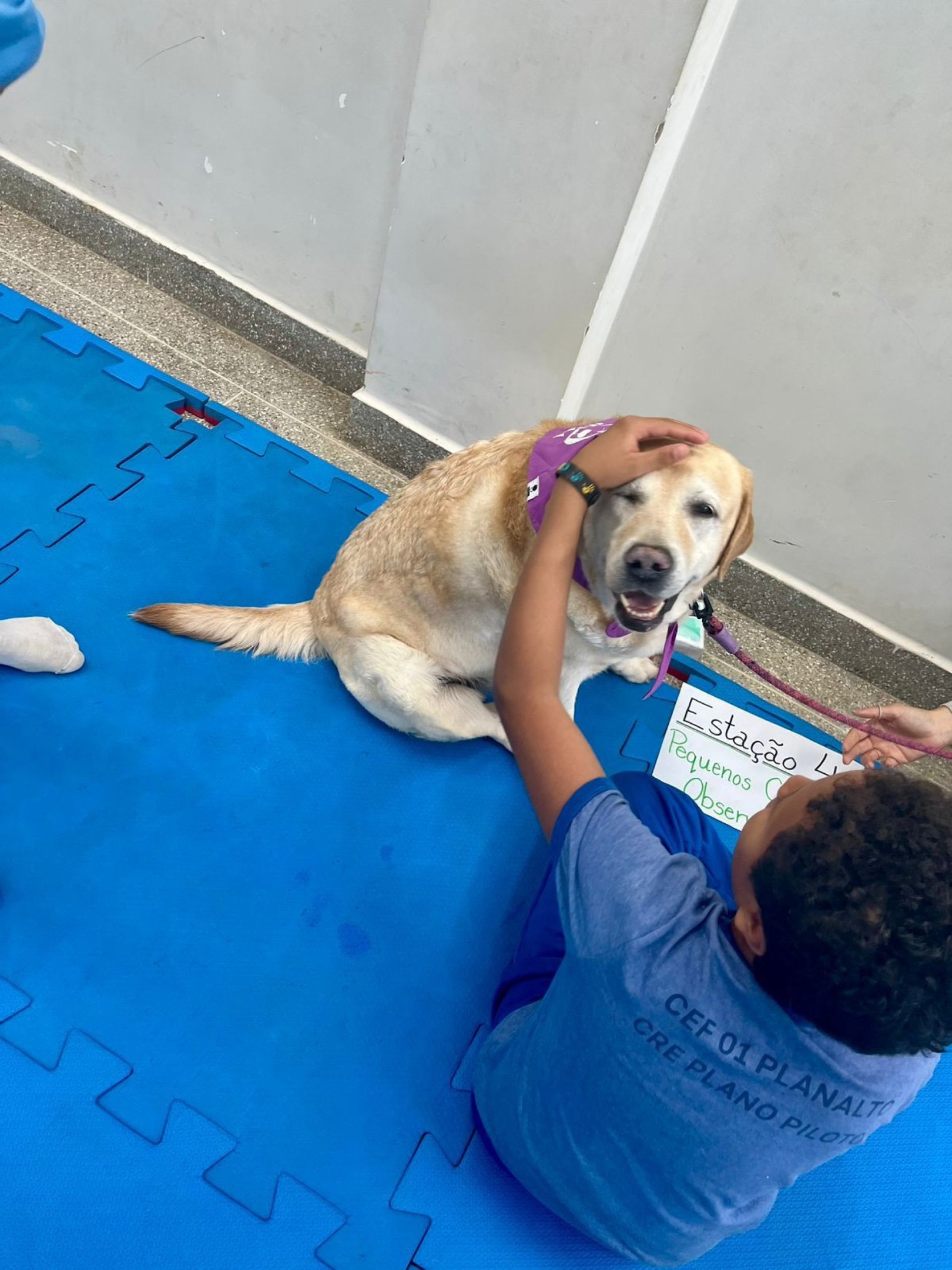 C&atilde;es como Magali ajudam a melhor os aspectos f&iacute;sicos e emocionais