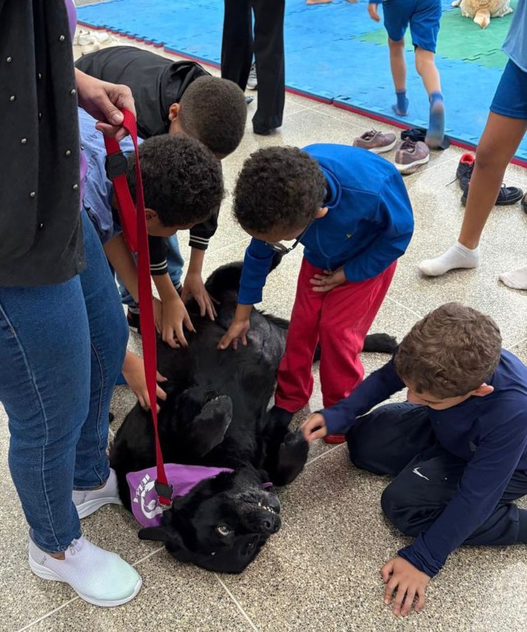 Cissa aproveita o carinho dos estudantes do CEF 1 Planalto