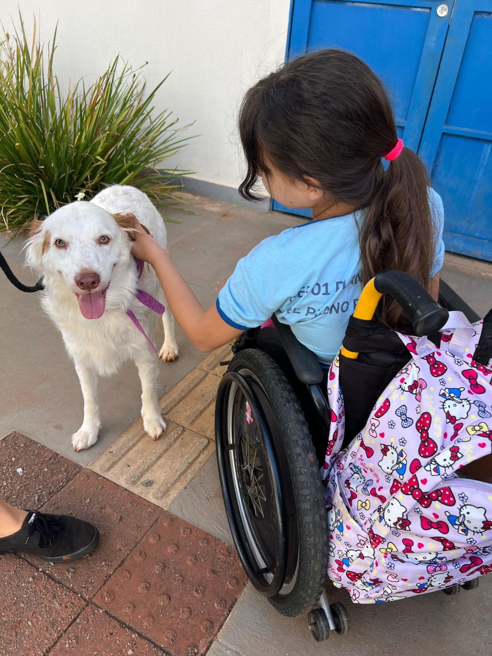 Aluna especial de escola na Vila Planalto com Milo: intera&ccedil;&atilde;o
