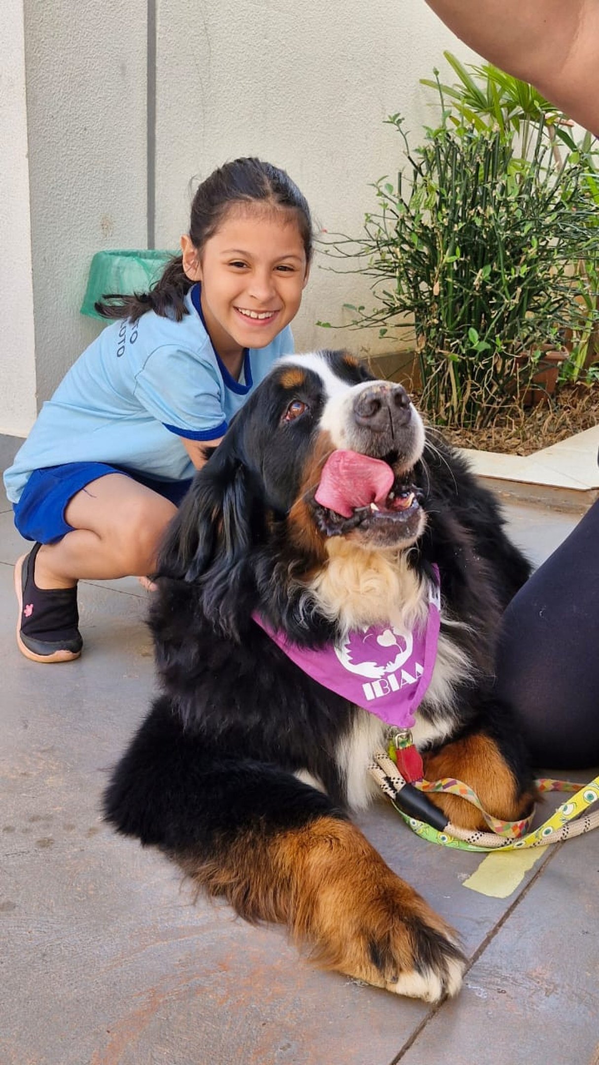 Angelina e seu parceiro de atividades, Tuco