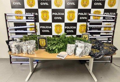 Diversos p&eacute;s e por&ccedil;&otilde;es acondicionadas da droga foram apreendidos durante a opera&ccedil;&atilde;o -  (crédito: Reprodu&ccedil;&atilde;o/PCDF) -Diversos p&eacute;s e por&ccedil;&otilde;es acondicionadas da droga foram apreendidos durante a opera&ccedil;&atilde;o -  (crédito: Reprodu&ccedil;&atilde;o/PCDF)