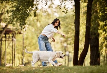 Com estratégias simples, é possível otimizar o tempo e manter todos os cuidados com os pets sem abrir mão da qualidade (Imagem: LightField Studios | Shutterstock) -  (crédito: EdiCase) -Com estratégias simples, é possível otimizar o tempo e manter todos os cuidados com os pets sem abrir mão da qualidade (Imagem: LightField Studios | Shutterstock) -  (crédito: EdiCase)