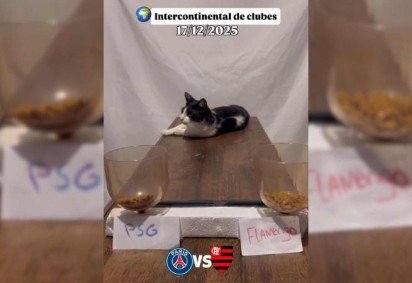 Gato Frajola crava campeão na disputa entre Flamengo e PSG -  (crédito: Reprodução/Instagram) -Gato Frajola crava campeão na disputa entre Flamengo e PSG -  (crédito: Reprodução/Instagram)