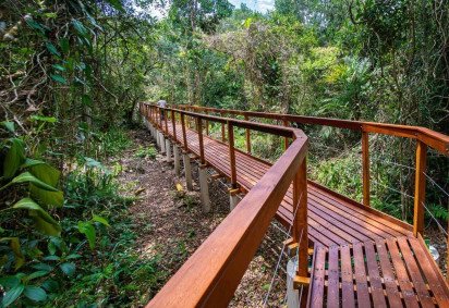 Superagui inaugura sua primeira trilha estruturada após 36 anos -  (crédito: Uai Turismo) -Superagui inaugura sua primeira trilha estruturada após 36 anos -  (crédito: Uai Turismo)