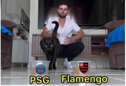 Gato Milu aponta o campeão entre PSG x Flamengo
 -  (crédito: Reprodução/Redes sociais) -Gato Milu aponta o campeão entre PSG x Flamengo
 -  (crédito: Reprodução/Redes sociais)