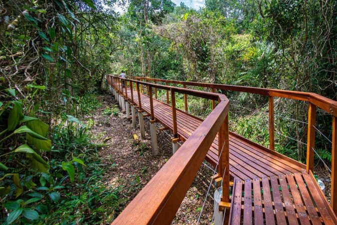 Superagui inaugura sua primeira trilha estruturada após 36 anos - (crédito: Uai Turismo) Superagui inaugura sua primeira trilha estruturada após 36 anos - (crédito: Uai Turismo)