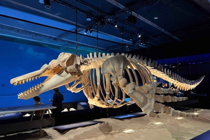 Museu inaugura a nova exposição temporária sobre oceano - (crédito: Walkyria Lagaci / CB Press) Museu inaugura a nova exposição temporária sobre oceano - (crédito: Walkyria Lagaci / CB Press)