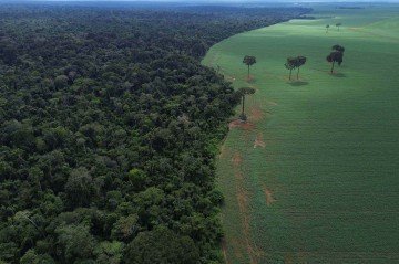 Já passou da hora de repensarmos o funcionamento da nossa sociedade em prol de algum futuro — de preferência mais justo, transparente e com oportunidades iguais para todos -  (crédito: Fernando Fraz&atilde;o/Ag&ecirc;ncia Brasil)
