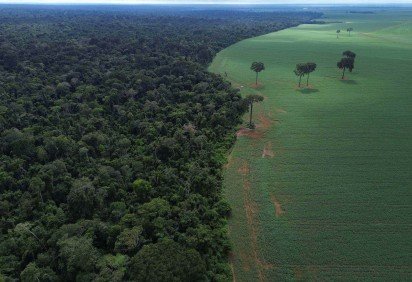 Vista a&eacute;rea do encontro da Floresta Amaz&ocirc;nica com lavouras de milho e soja, na margem da Terra Ind&iacute;gena Erikpatsa, em Brasnorte (MT).
     -  (crédito: Fernando Fraz&atilde;o/Ag&ecirc;ncia Brasil)