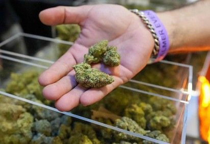 Por que governo Trump pode promover maior mudança na política de drogas dos EUA em décadas -  (crédito: BBC Geral) -Por que governo Trump pode promover maior mudança na política de drogas dos EUA em décadas -  (crédito: BBC Geral)