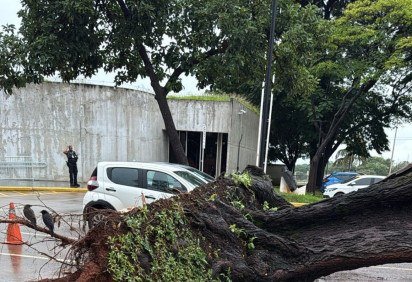Suspeita é que a queda tenha sido causada pela chuva forte -  (crédito: Thiago Nunes) -Suspeita é que a queda tenha sido causada pela chuva forte -  (crédito: Thiago Nunes)