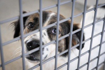 Os nomes nas listas já estão aprovados e habilitados para o recebimento do auxílio - (crédito: Geovana Albuquerque/Agência Brasília) Os nomes nas listas já estão aprovados e habilitados para o recebimento do auxílio - (crédito: Geovana Albuquerque/Agência Brasília)