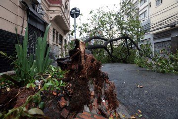 Roteiro da tempestade em São Paulo: árvore arrancada, enchente, falta de luz, prejuízo material e morte -  (crédito: Paulo Pinto/Agência Brasil)