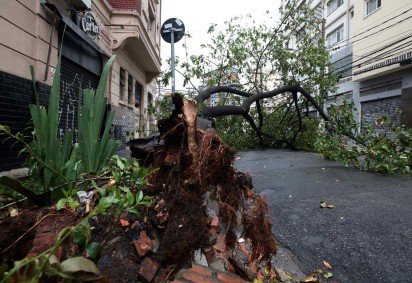 Roteiro da tempestade em São Paulo: árvore arrancada, enchente, falta de luz, prejuízo material e morte -  (crédito: Paulo Pinto/Agência Brasil)
