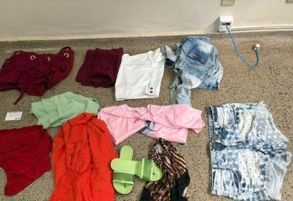 A mulher se aproveitava do acesso às casas -  (crédito: Material cedido ao Correio)