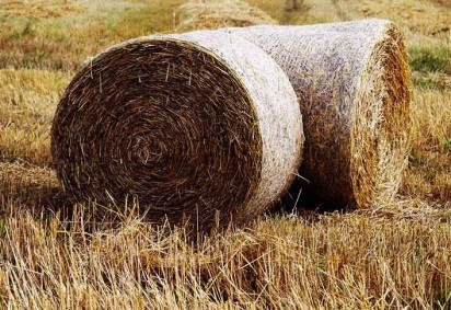 Quem vê objetos de palha na moda ou na decoração nem sempre pensa na origem do material tão adequado para a confecção das peças. A palha tem origem natural e uma versatilidade que permite sua presença nos mais diferentes tipos de produtos, tanto rústicos como sofisticados.  -  (crédito:  Imagem de Andrea por Pixabay) -Quem vê objetos de palha na moda ou na decoração nem sempre pensa na origem do material tão adequado para a confecção das peças. A palha tem origem natural e uma versatilidade que permite sua presença nos mais diferentes tipos de produtos, tanto rústicos como sofisticados.  -  (crédito:  Imagem de Andrea por Pixabay)